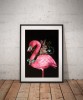 Plakatas Flamingas